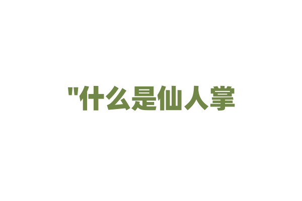 "什么是仙人掌？它如何适应沙漠环境？"